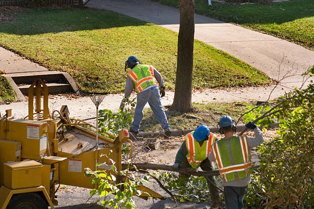 Soil Testing and Treatment in Rutherford, TN